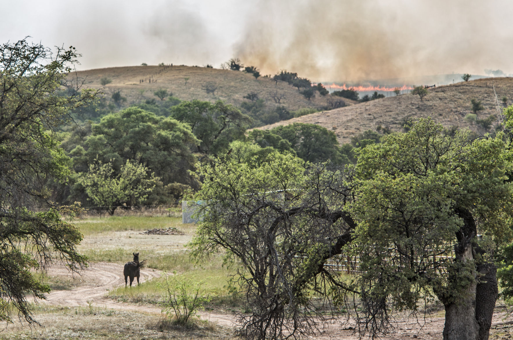 Sawmill Fire